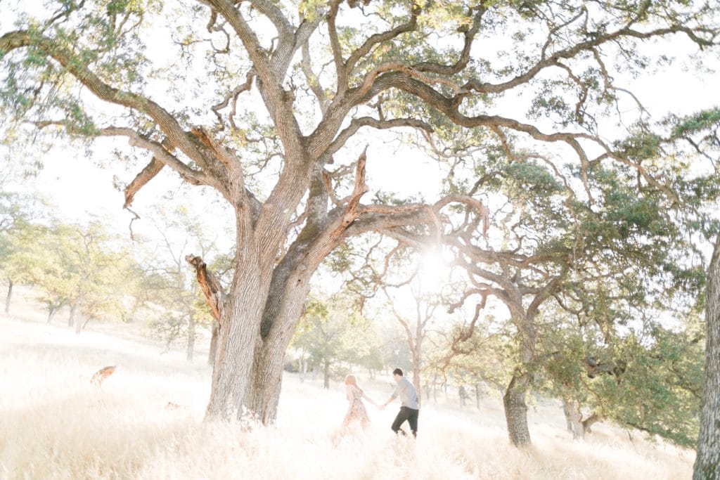 Matthew Land Studios • Engagement Portfolio