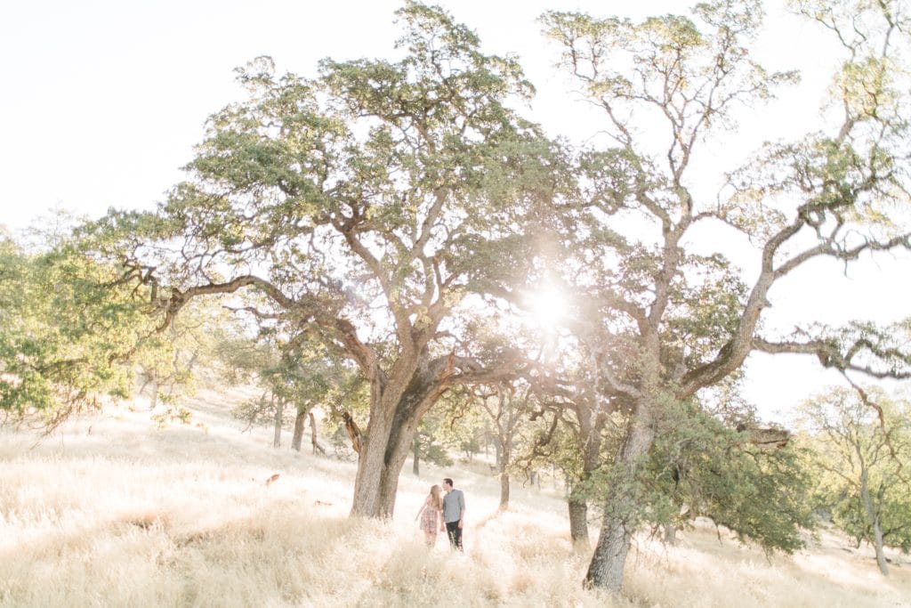 Matthew Land Studios • Engagement Portfolio