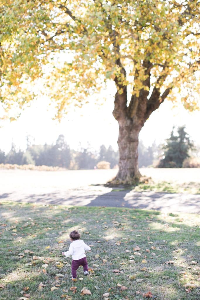 Matthew Land Studios • Family Portraits